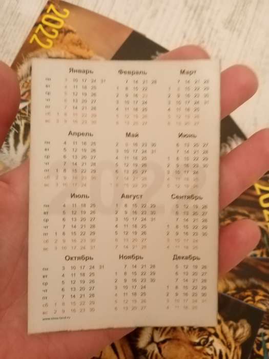 Фотография покупателя товара Карманный календарь "Символ года - 10" 2024 год, 7х10см, МИКС - Фото 3