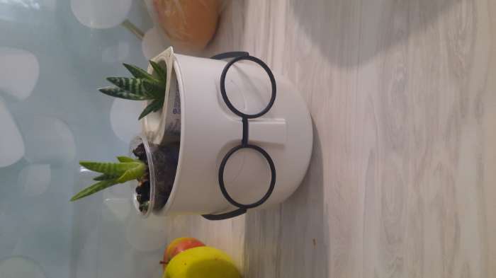 Фотография покупателя товара Кашпо для цветов со вставкой «Стив», 650 мл, d=11.5 см, h=10.5 см, цвет белый ротанг - Фото 1