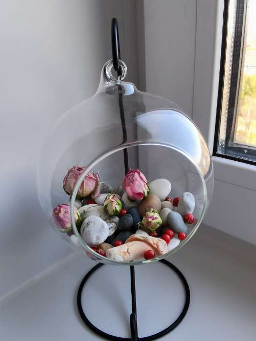 Фотография покупателя товара Флорариум «Цилиндр», на подвесе, 12×8 см, h=23 см, стекло, прозрачный, чёрный - Фото 1