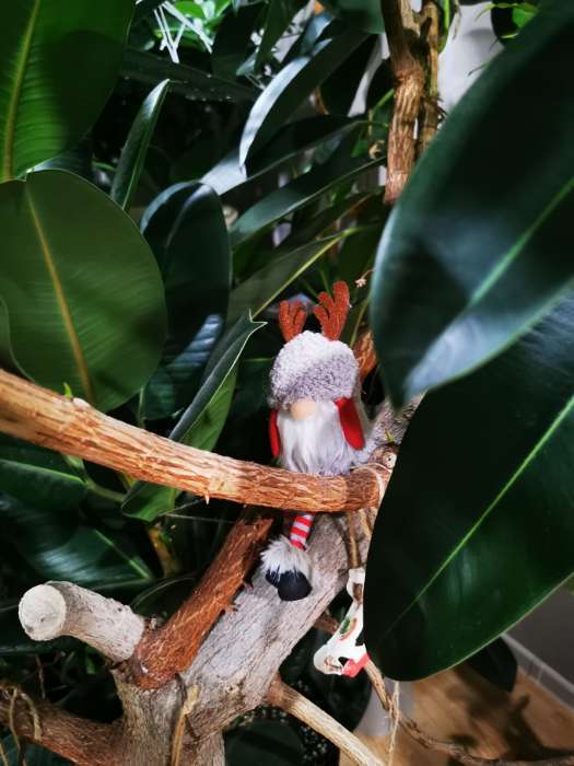 Фотография покупателя товара Фигурка текстиль «Гном в серой барашковой шапке с рожками», на полку, стол, 6.2×9.5×18.5 см - Фото 2