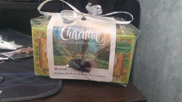 Фотография покупателя товара Брошь «Ёжик» лесной, цвет чёрно-белый в серебре - Фото 1