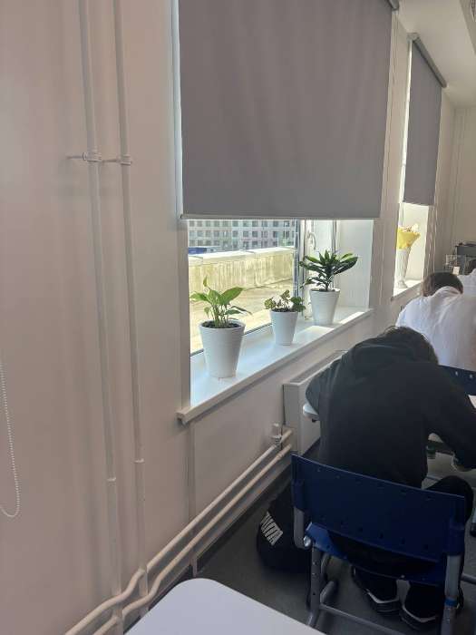 Фотография покупателя товара Кашпо для цветов со вставкой «Валенсия», 5.2 л, белое - Фото 1