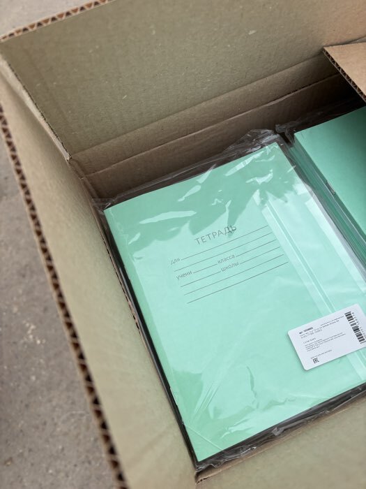 Фотография покупателя товара Набор тетрадей «Зелёная обложка» 20 штук, 24 листа в клетку, эконом, плотность 60 г/м² - Фото 1