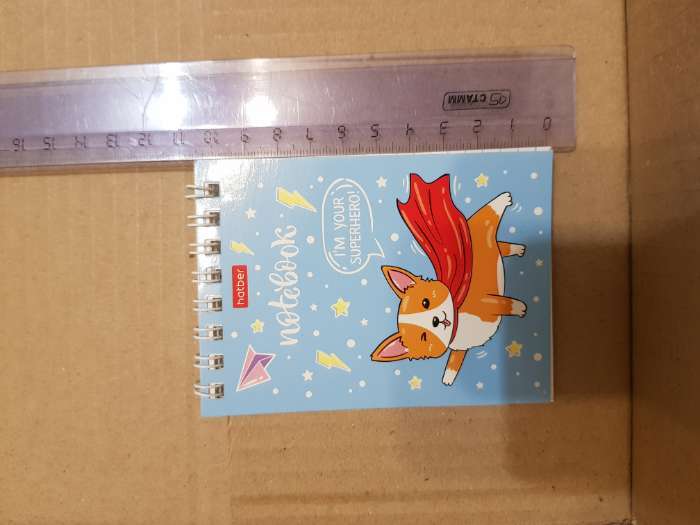 Фотография покупателя товара Блокнот 40л А6 клетка Hatber "Забавные корги", на гребне, обл мел карт - Фото 1