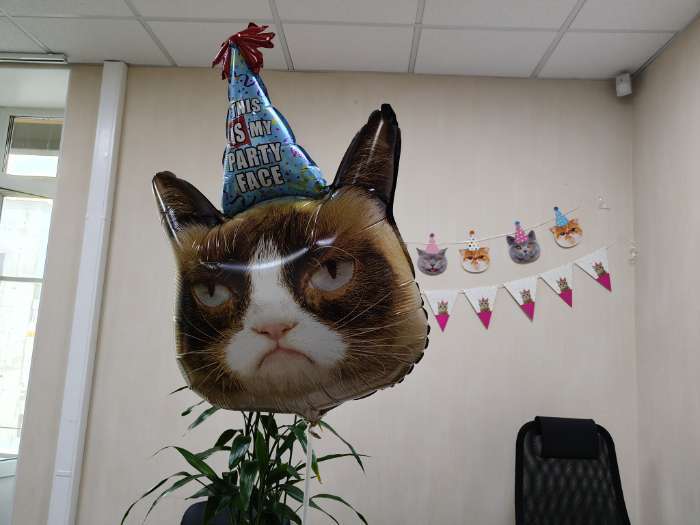 Фотография покупателя товара Воздушный шар фольгированный 35" «Сердитая кошка в колпаке» - Фото 1