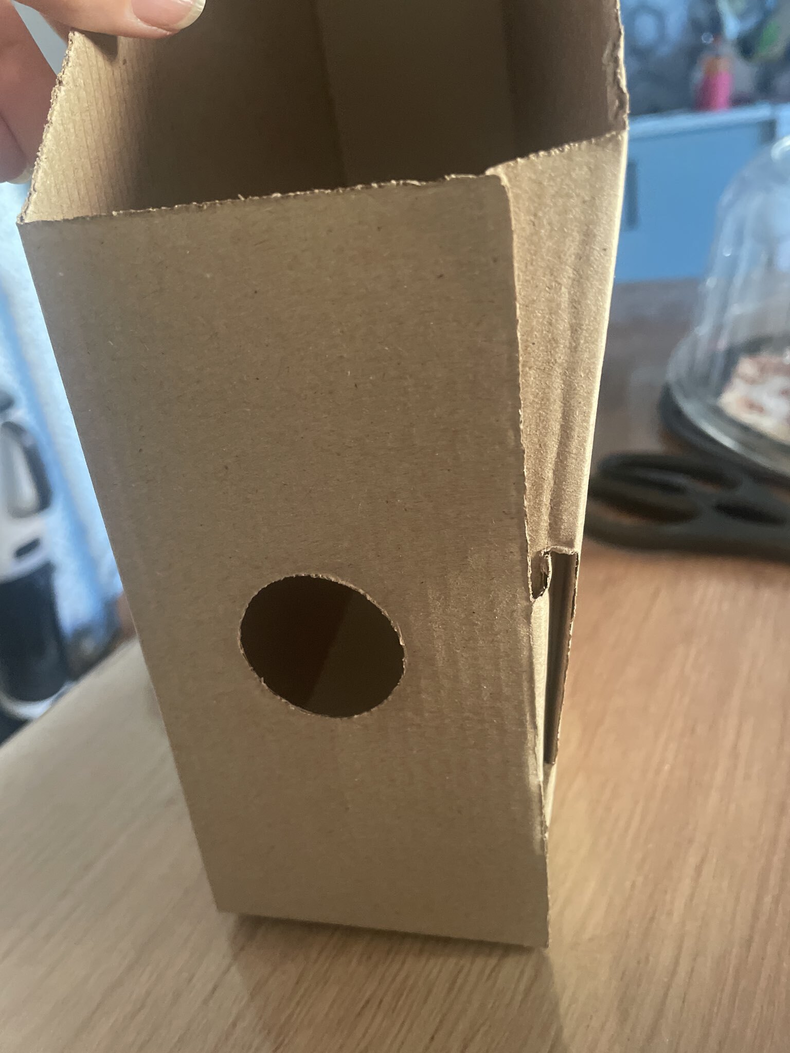 Фотография покупателя товара Накопитель-лоток А4, архивный из микрогофрокартона Calligrata, 75 мм, до 700 л, бурый - Фото 1