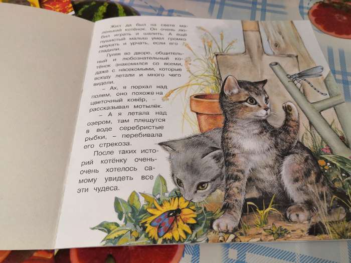 Фотография покупателя товара «Приключения котёнка», Гурина И. В. - Фото 1