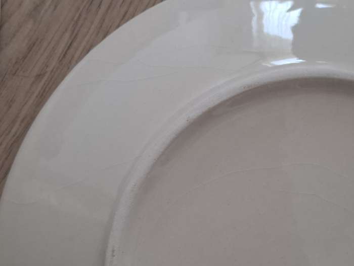 Фотография покупателя товара Тарелка керамическая обеденная Доляна «Морской мир», d=27 см, цвет жёлтый - Фото 2