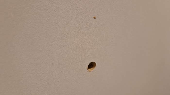 Фотография покупателя товара Шкаф прямой трёхстворчатый для одежды «Лора», 1 ящик, 1350×570×2200 мм, цвет белый - Фото 14