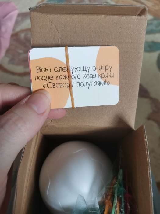 Фотография покупателя товара Настольная игра Лас Играс KIDS «Яйцо навылет» - Фото 3