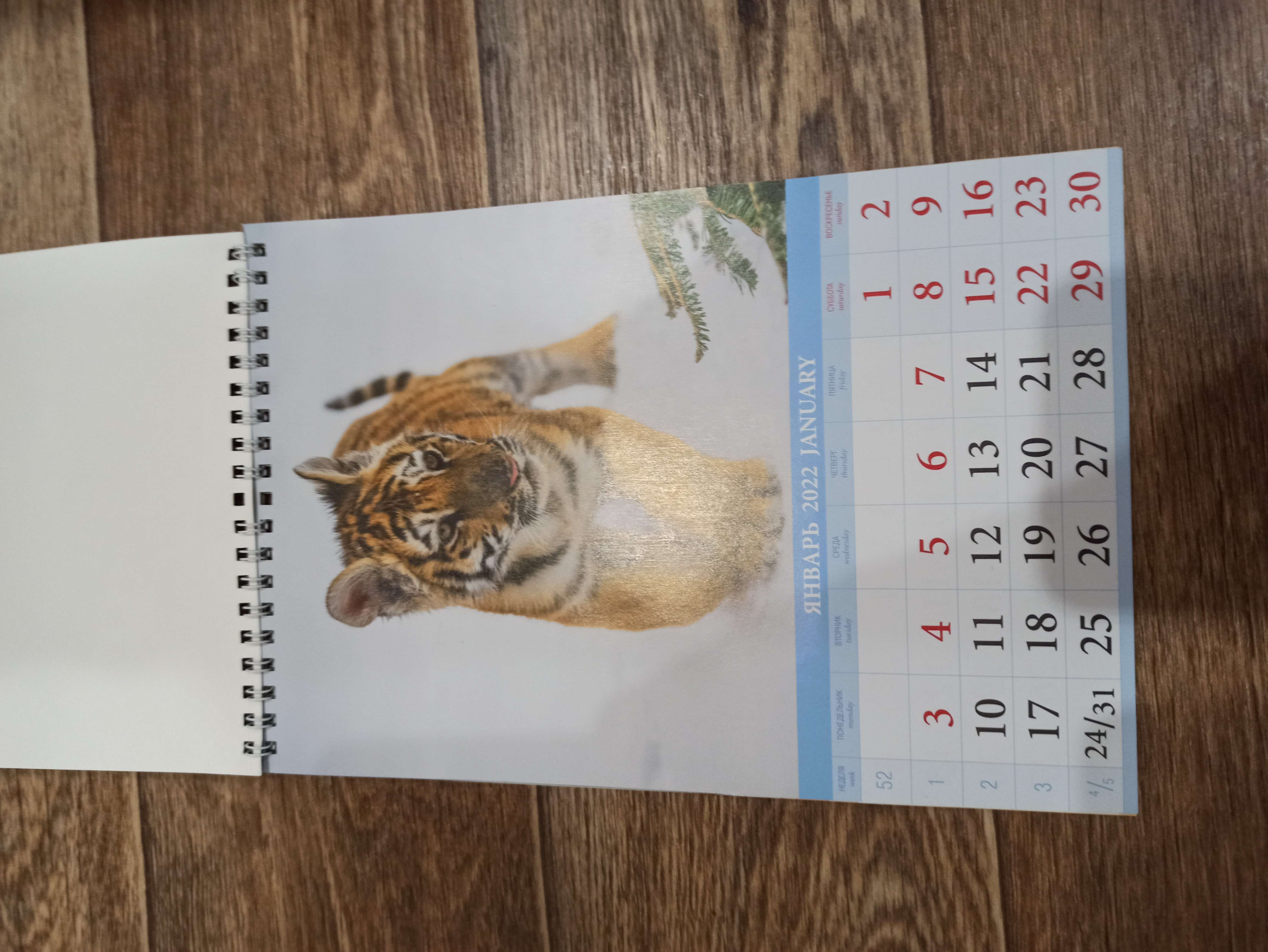 Фотография покупателя товара Календарь на пружине без ригеля "Символ года. Вид 3" 17х25 см, 2022 год