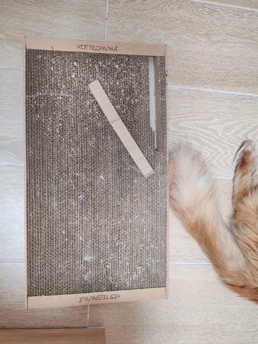 Фотография покупателя товара Когтеточка для кошек ТМ «Когтедралка» КРАФТ, 56×30×2.5 см, гофрокартон - Фото 5