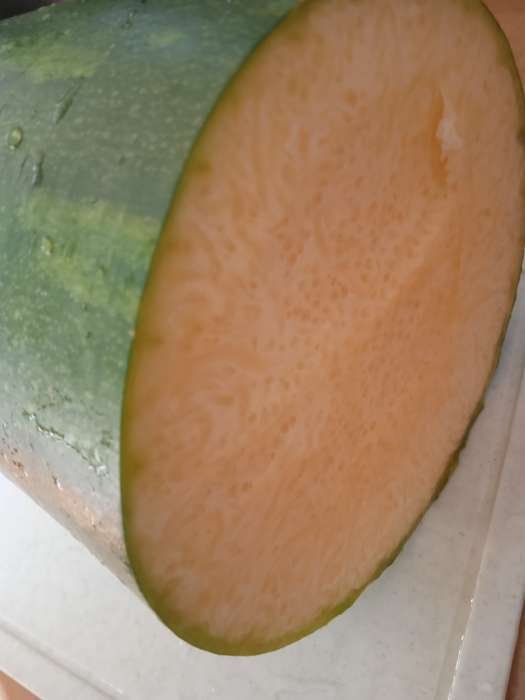 Фотография покупателя товара Семена Тыква мускатная Семейная, 5шт - Фото 10