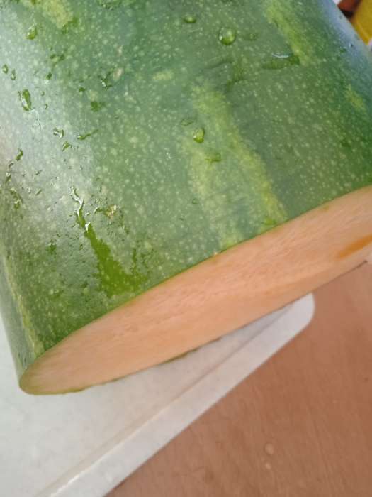 Фотография покупателя товара Семена Тыква мускатная Семейная, 5шт - Фото 9