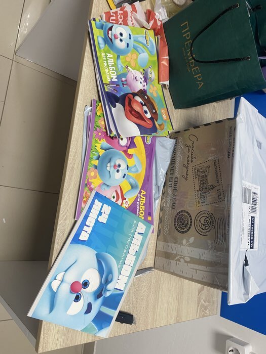 Фотография покупателя товара Альбом для рисования А4, 24 листа 100 г/м², на скрепке, «Смешарики» - Фото 1