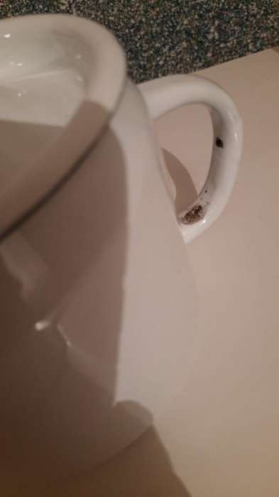 Фотография покупателя товара Чайник, 1 л, эмалированная сталь, белый - Фото 1