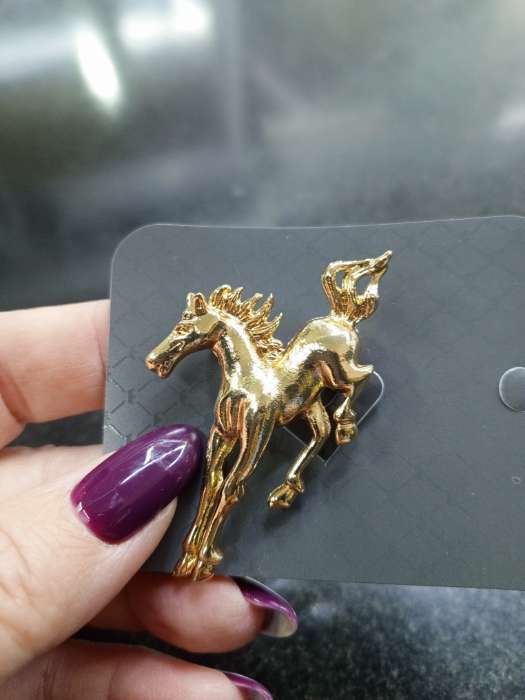 Фотография покупателя товара Брошь «Лошадь», цвет золото - Фото 1
