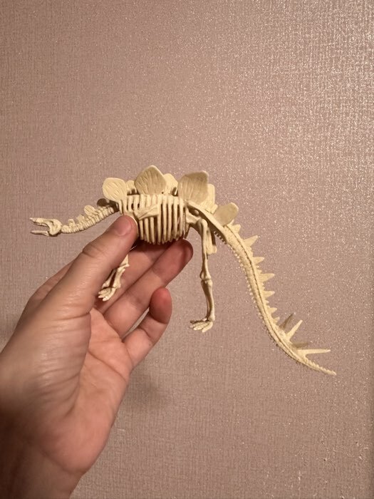 Фотография покупателя товара Раскопки «Время динозавров» - Фото 1