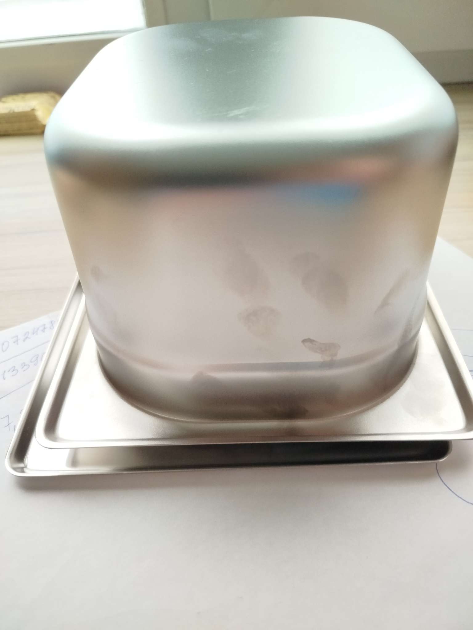 Фотография покупателя товара Крышка к гастроёмкости GN 1/1 Hanna Knövell, 530×325 мм, толщина 0.8 мм, нержавеющая сталь - Фото 1