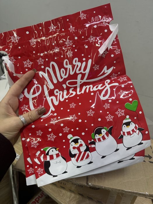 Фотография покупателя товара Пакет подарочный новогодний с завязками, «Ассорти», 24×32 см - Фото 1