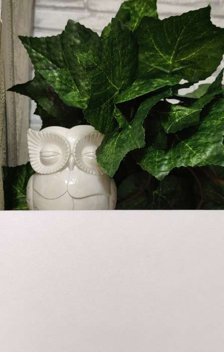 Фотография покупателя товара Кашпо гипс «Сова», 10×7 см, цвет бронза - Фото 10