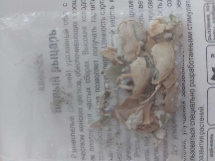 Фотография покупателя товара Семена Кабачок "Белый рыцарь", 5 шт. - Фото 2