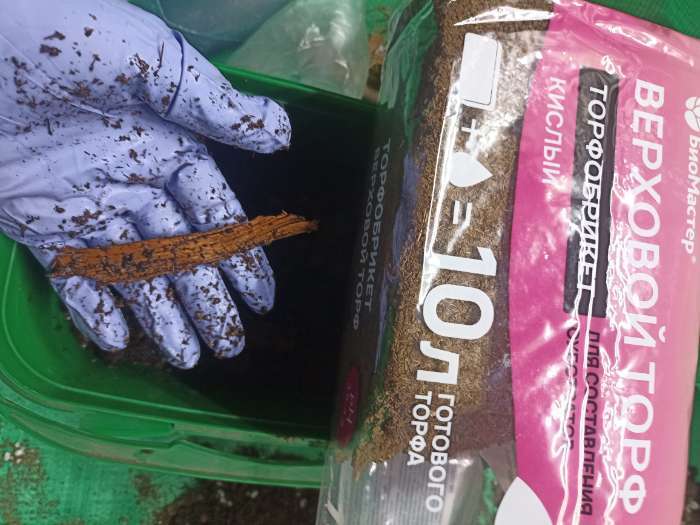 Фотография покупателя товара Торфобрикет Верховой торф кислый, 10 л. "БиоМастер" - Фото 3