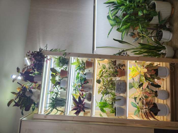 Фотография покупателя товара Соединительный провод для светильников, разъем L/N, 100 см, белый - Фото 1