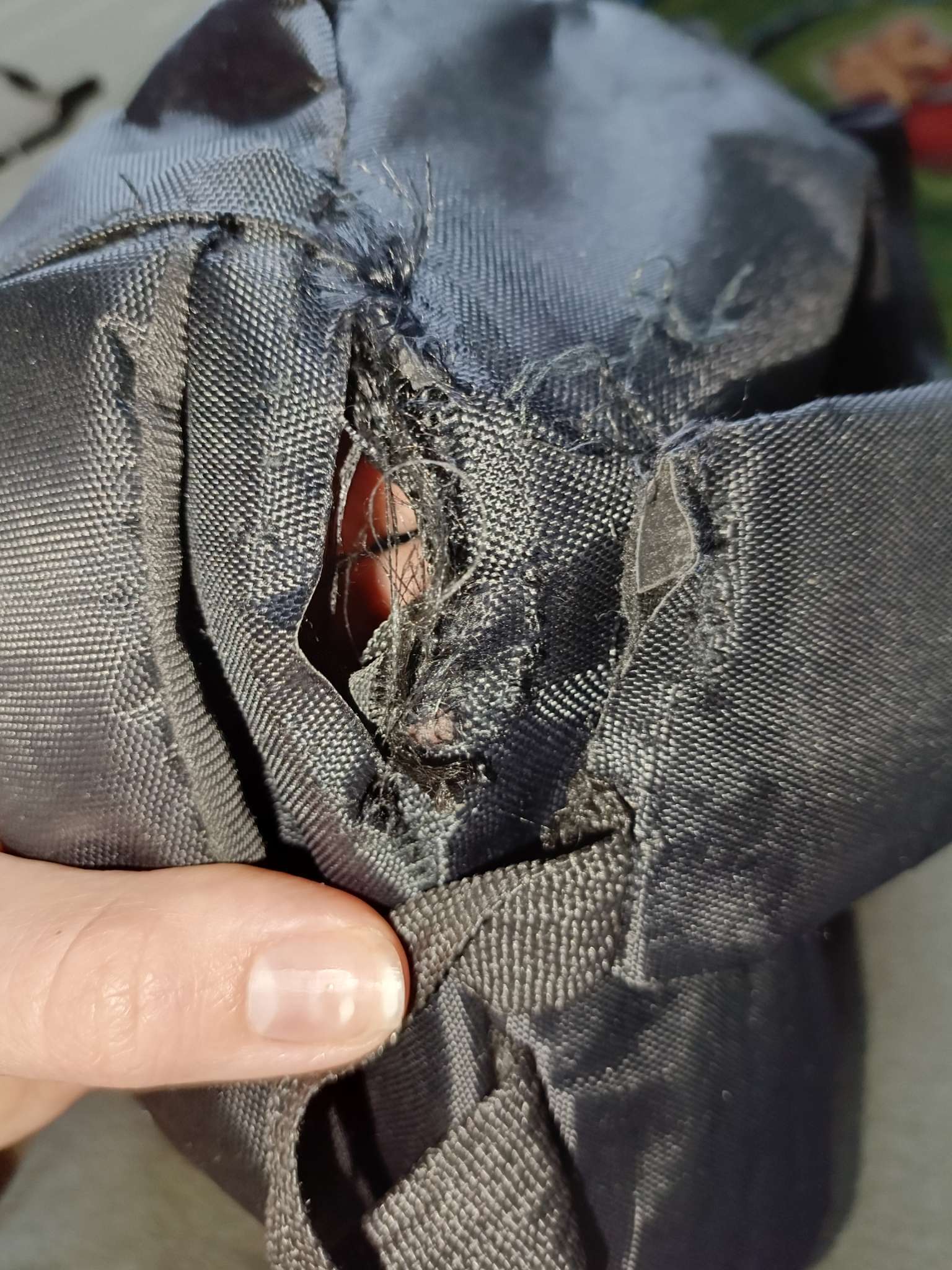 Фотография покупателя товара Рюкзак школьный на молнии, с карманами, размер 32×14.5×47.5 см, чёрный/белый - Фото 2