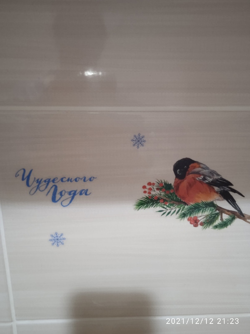 Фотография покупателя товара Наклейки на стекло «Снегири», 20 × 34 см, многоразовые - Фото 8
