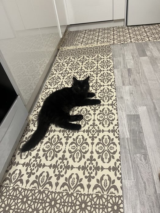 Фотография покупателя товара Коврик SL Home Cotton, 60×90 см, серый, молочный, хлопок 50% - Фото 1