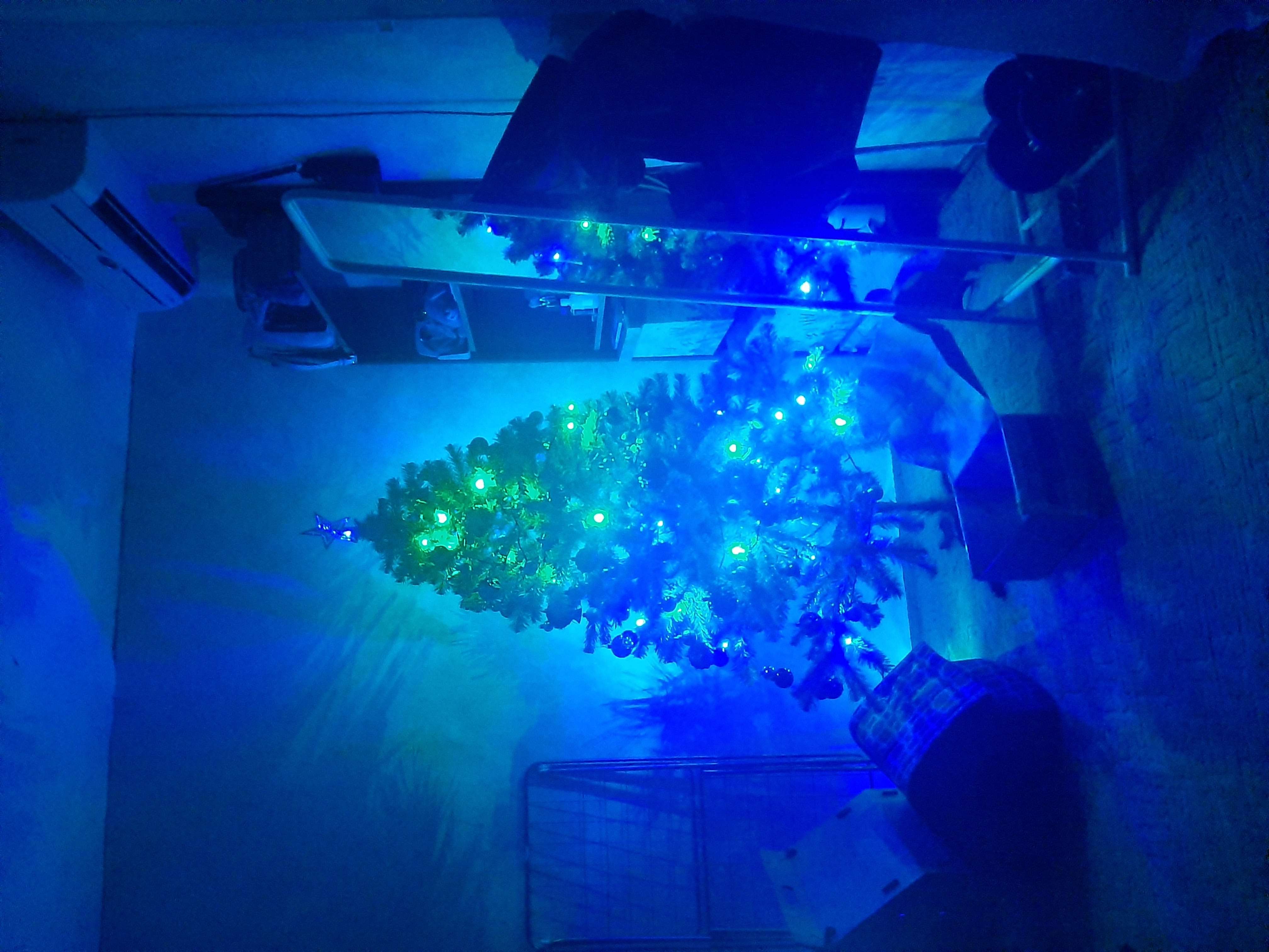 Фотография покупателя товара Гирлянда «Нить» 10 м, IP20, тёмная нить, 100 LED, свечение мульти, 8 режимов, 220 В - Фото 124