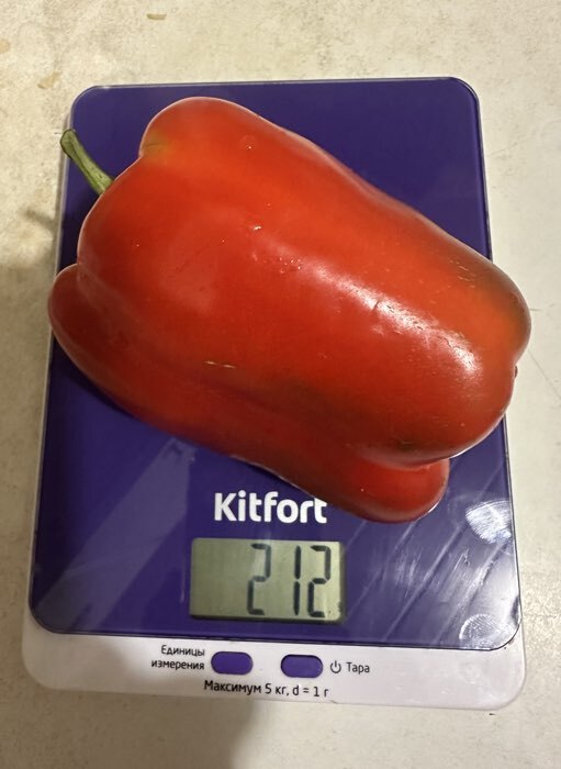 Фотография покупателя товара Семена Перец сладкий "Падишах", Сем. Алт, ц/п, 0,1 г - Фото 1