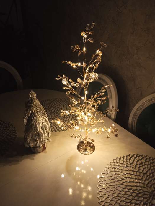 Фотография покупателя товара Фигура светодиодная «Застывшие кристаллы» 55×30×3 см, 20 LED, батарейки CR2032×2 (в комплекте), свечение теплое белое - Фото 1