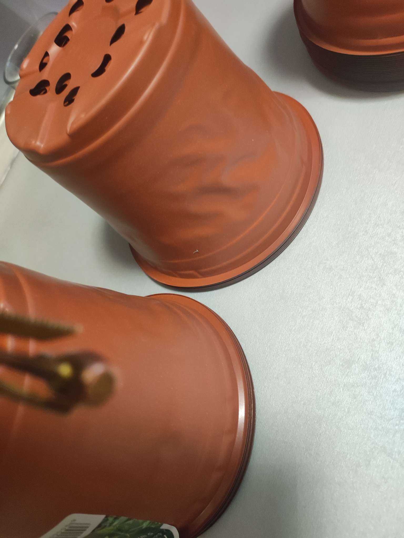 Фотография покупателя товара Горшок для рассады, 1.5 л, d=15.5 см, h=12.5 см, мягкий пластик, терракот, Greengo - Фото 34