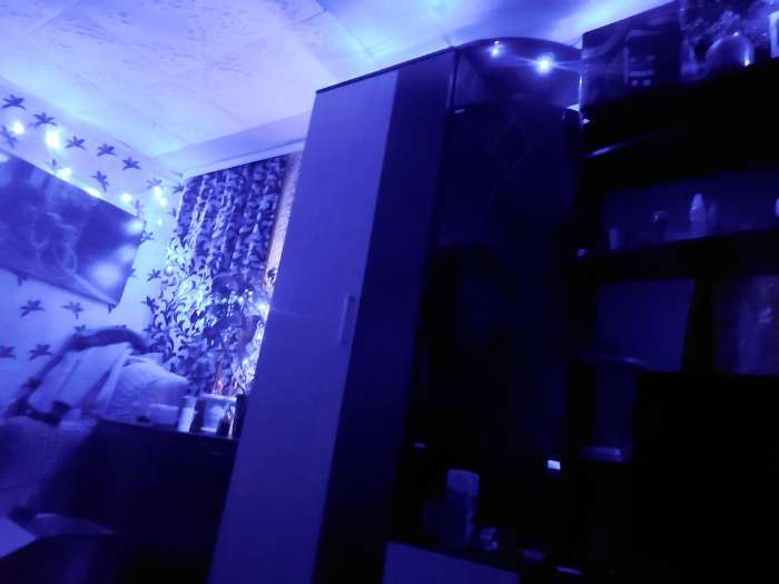 Фотография покупателя товара Гирлянда «Нить» 20 м, IP20, тёмная нить, 200 LED, свечение синее, 8 режимов, 220 В - Фото 123