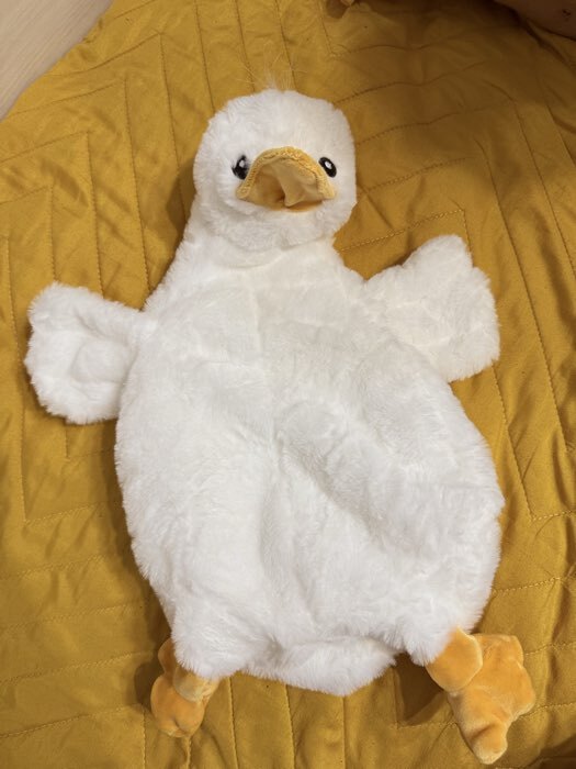 Фотография покупателя товара Мягкая игрушка без наполнителя «Гусь», 48 см - Фото 1