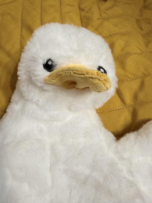Фотография покупателя товара Мягкая игрушка без наполнителя «Гусь», 48 см - Фото 2