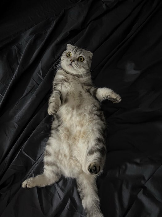 Фотография покупателя товара Простыня на резинке 2-спальная SL Home Nude, 180×200+30 см, сатин - Фото 1