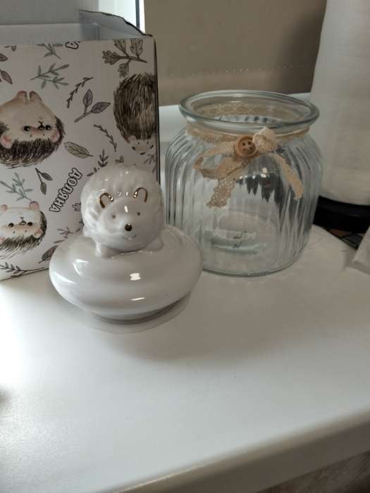 Фотография покупателя товара Банка для сыпучих Доляна «Ёжик в золотом», 600 мл, с керамической крышкой, стекло, прозрачная - Фото 2