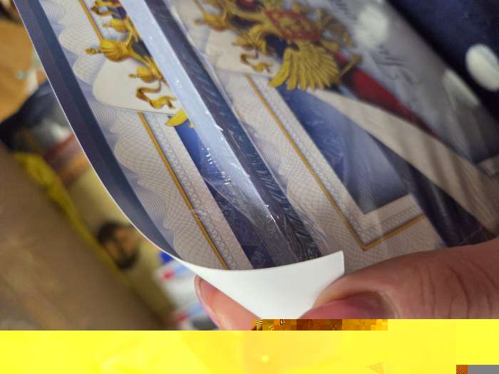 Фотография покупателя товара Грамота А4 классическая, Символика РФ, голубая, 157 г/м² - Фото 3