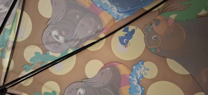 Фотография покупателя товара Зонт - трость детский «Тюлень на отдыхе», полуавтоматический, d=84 см, 8 спиц - Фото 6