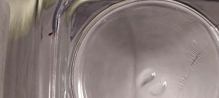 Фотография покупателя товара Банка для сыпучих продуктов Paşabahçe Cremlin, 740 мл, стекло, прозрачная - Фото 6