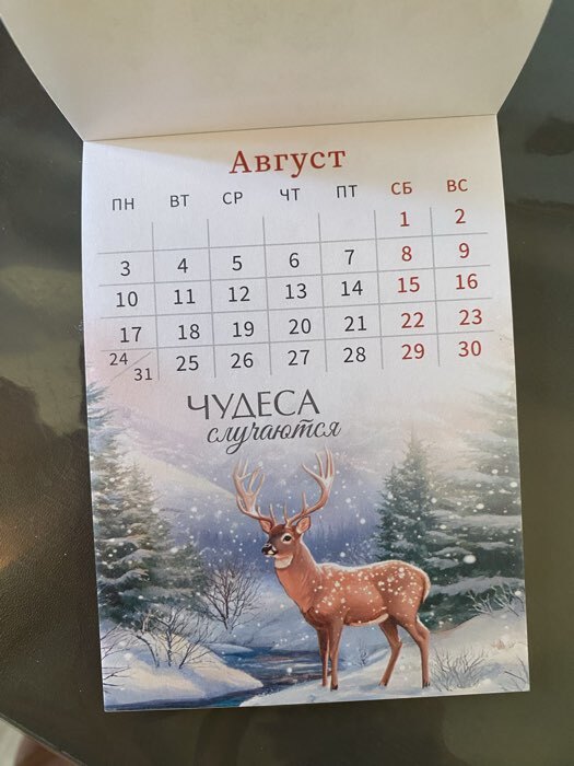 Фотография покупателя товара Календарь 2026 отрывной на магните «Новый год - время волшебства» 9.5×13 см