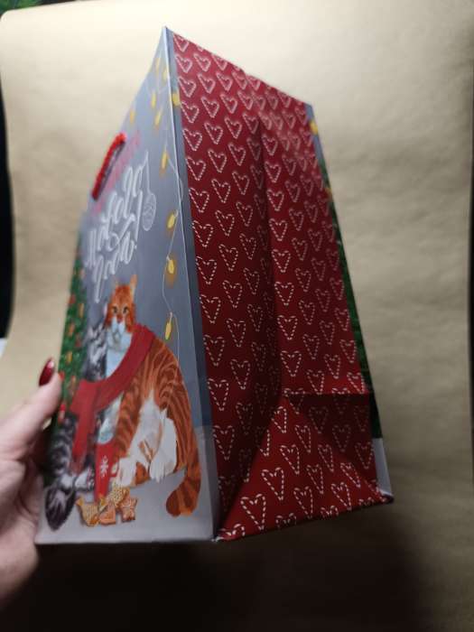 Фотография покупателя товара Пакет подарочный новогодний ламинированный, «Сова», 18×10×22.3 см - Фото 1