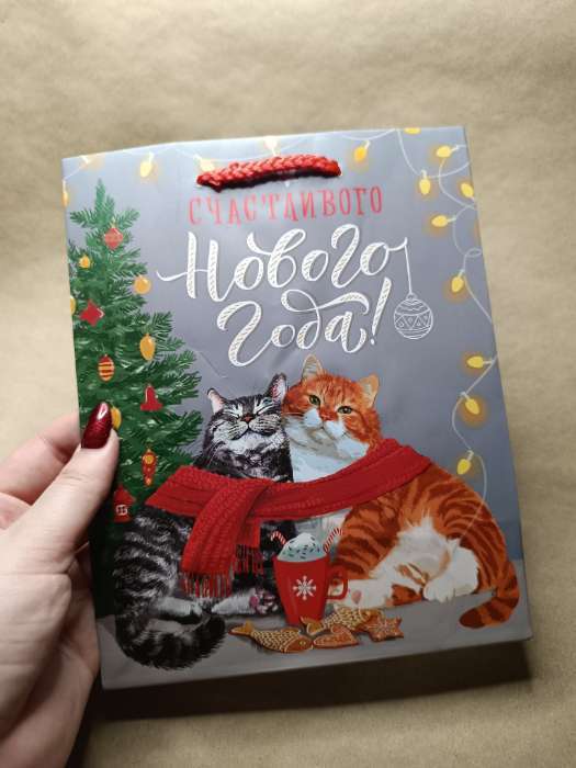 Фотография покупателя товара Пакет подарочный новогодний ламинированный, «Сова», 18×10×22.3 см - Фото 2