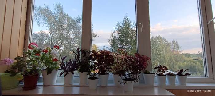 Фотография покупателя товара Кашпо для цветов со вставкой Santino «Арте», 2 л, пластик, бело-чёрное - Фото 1