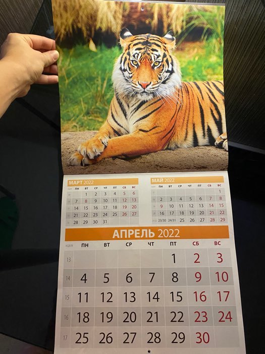 Фотография покупателя товара Календарь перекидной на скрепке "Символ года. Вид 2" 2022 год, 285х285 мм - Фото 3