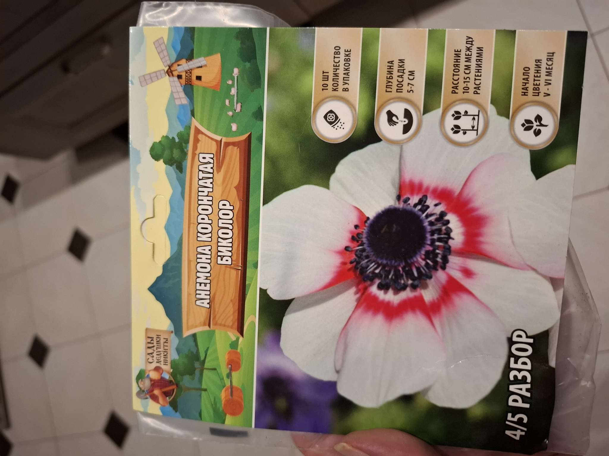 Фотография покупателя товара Анемона «Де Каен смесь», многолетник, луковица, р-р 6/7, 10 шт. - Фото 1