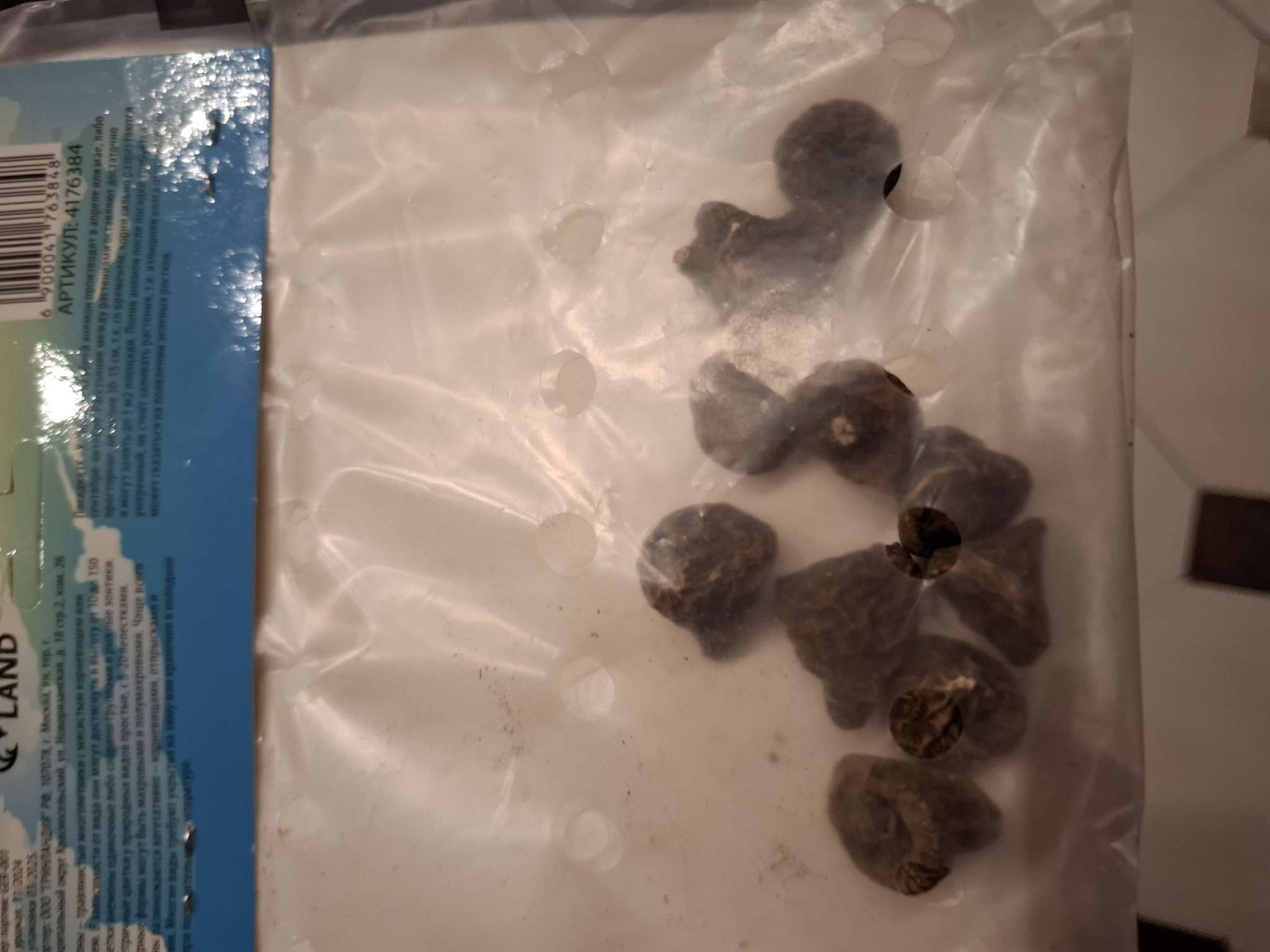 Фотография покупателя товара Анемона «Де Каен смесь», многолетник, луковица, р-р 6/7, 10 шт. - Фото 2